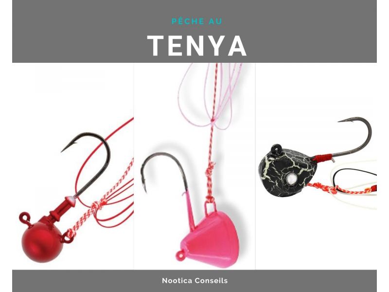 Entdecken Sie das Angeln mit tenya