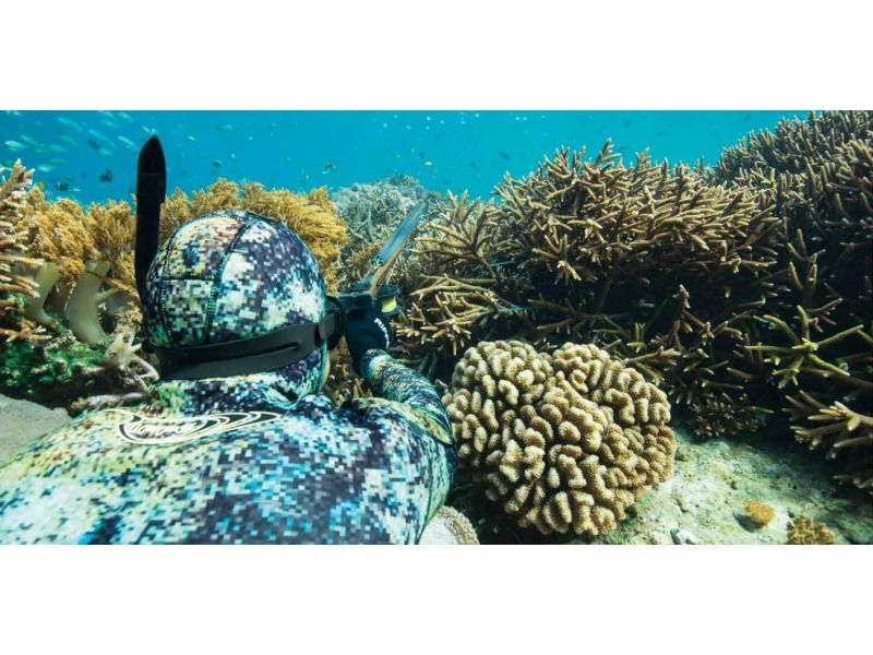 Wie lädt man eine Harpune Speerfischen?