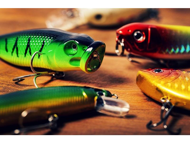 Was ist der Unterschied zwischen Crankbait, Jerkbait und Spinnerbait?