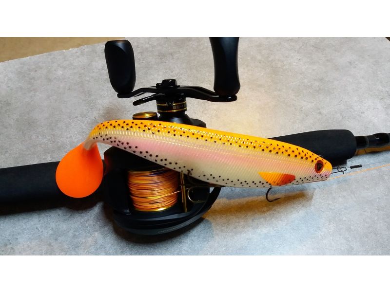 Die Grundlagen des Köder Angeln