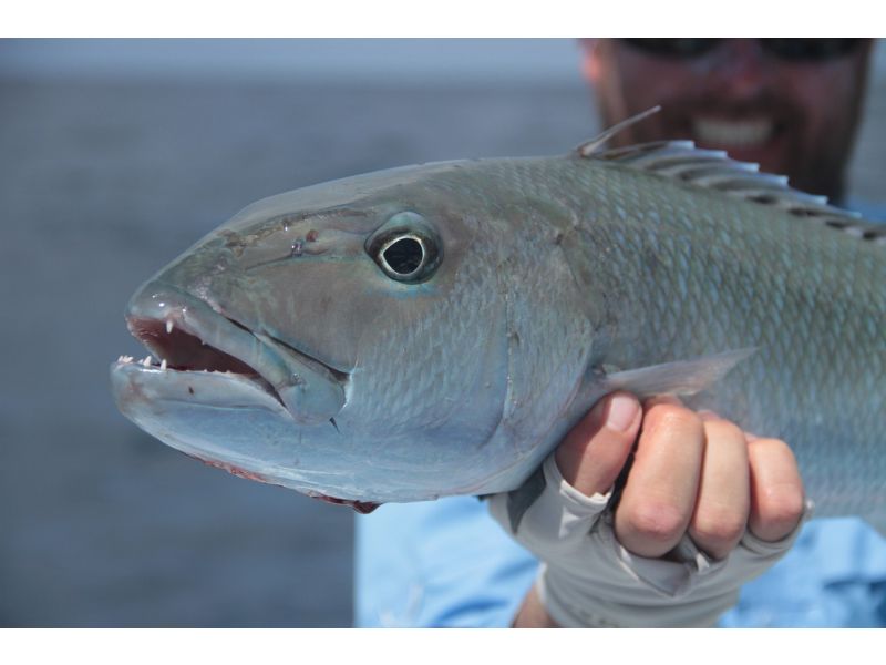 Jigging: eine Technik des Sportfischens