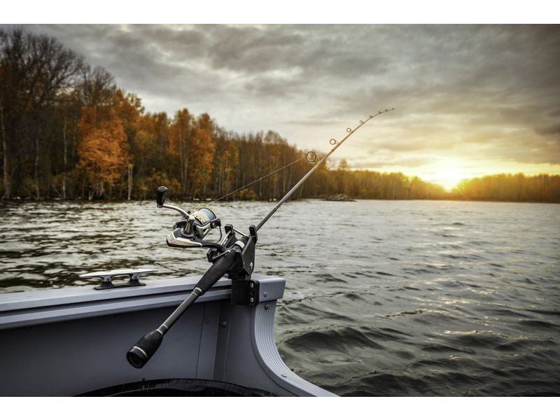Entdecken Sie das Vertikalangeln
