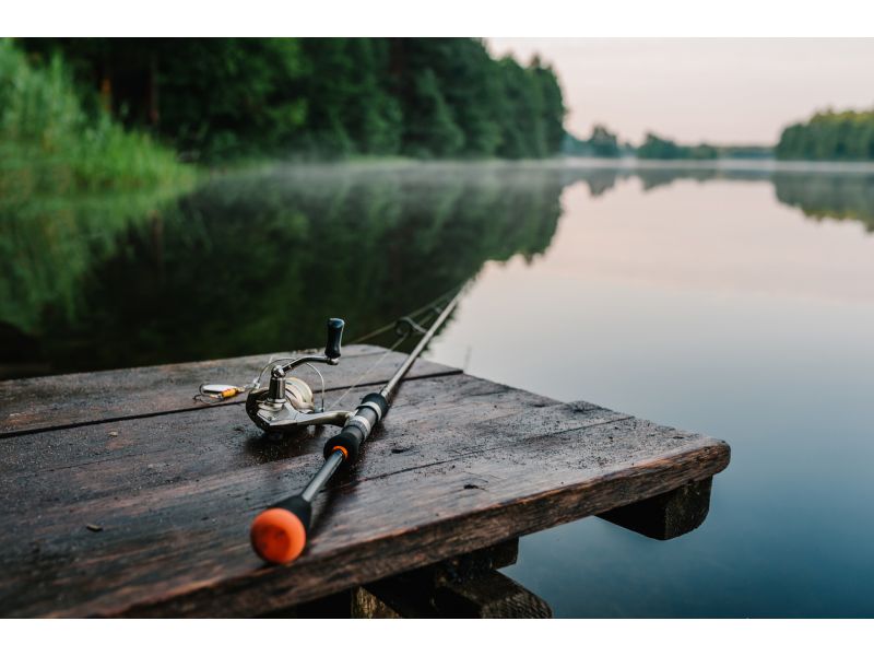 Welcher Angelrolle zum Angeln auf Köder? 