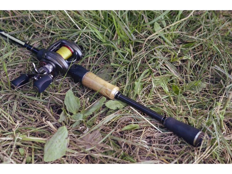 Wie wählt man seinen Angelrolle Baitcast aus?