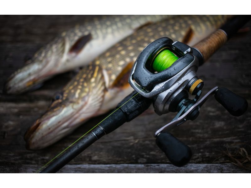 Welche Angelrolle Baitcast für den Big Bait