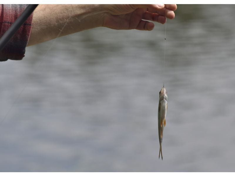 Die perfekte Angeltechnik für Raubfische