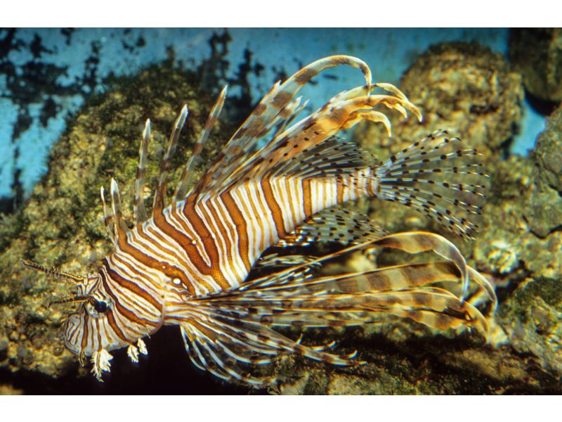 Warum Tiefseeangeln?