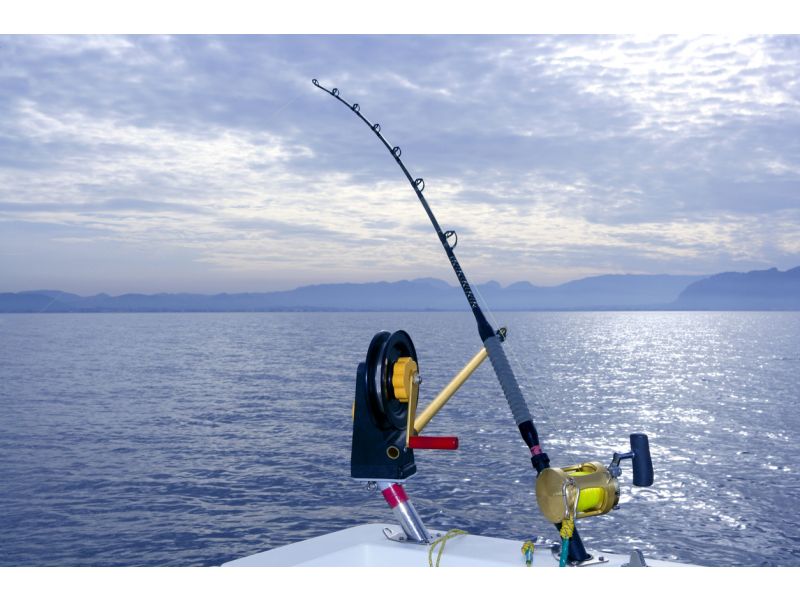 Wie fischt man mit Downrigger?