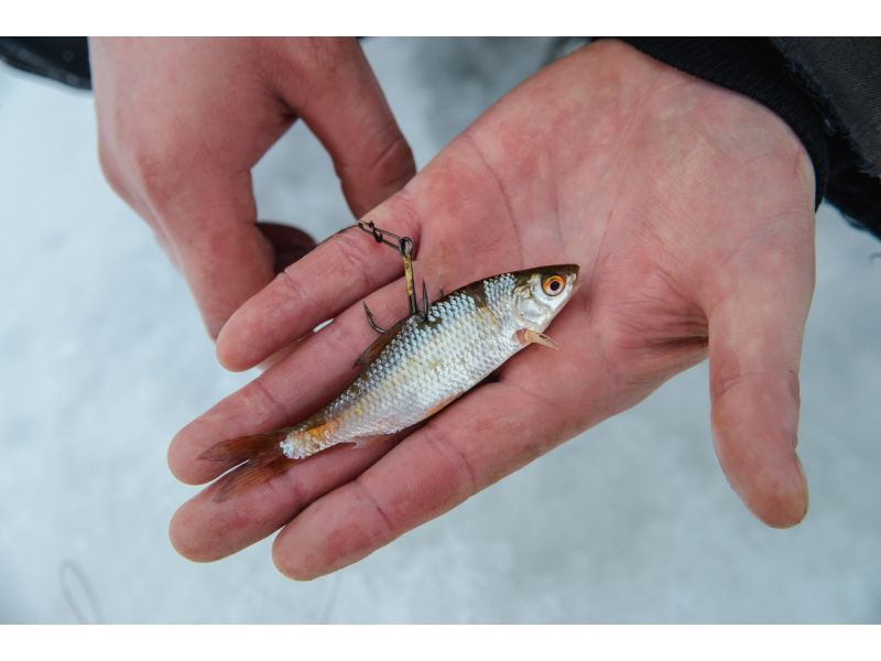 Was ist Angeln mit dem toten Köder?