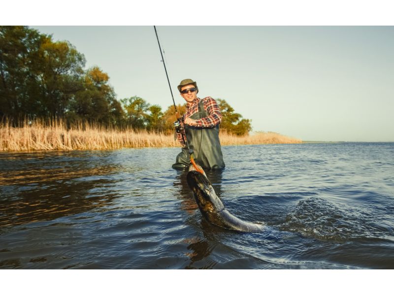 Welche Angelrolle zum Hechtangeln ?