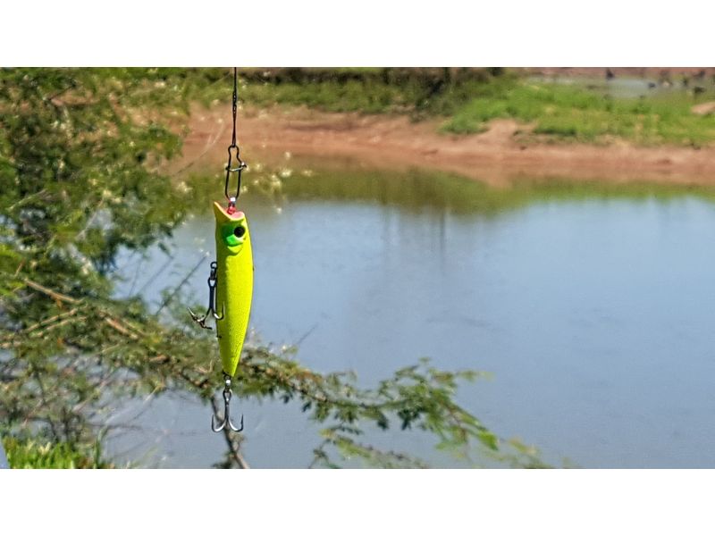 Was sind kunstköder?