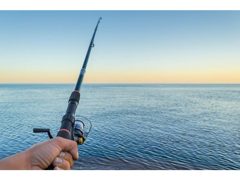 Was ist das beste Angelrolle Jigging? 