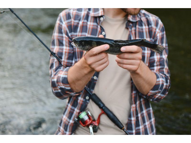 Welche Angelrolle zum Forellenangeln?