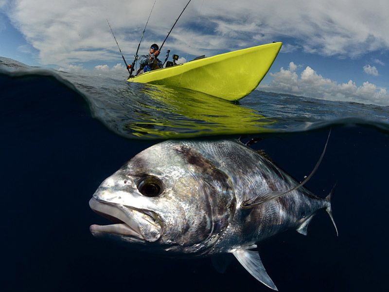 Kennen Sie Kajakangeln?