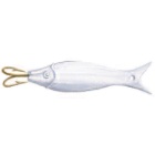 Romanichel Fisch 15 gr