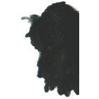 Hühnerhals JMC Schwarz