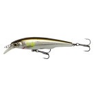 Hardbait Savage Gear Gravity TwitchSR 11.5cm Dirty Roach