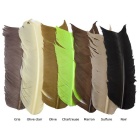 JMC Extra Fine Wing Pinole Braun
