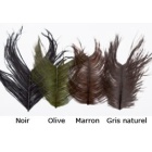 Federn JMC Strauß Braun