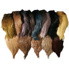 Federn JMC Indian Neck Top Grade Dyed N°08 Schwarz