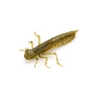 Gummiköder Fishup Dragonfly 1,2" – 50