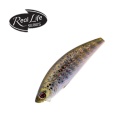 Köder Sakura Minnow HW Sinking 40 mm 2,6 gr RL04 Real Life Fario Trout