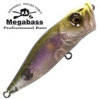 Oberflächenköder Megabass Pop X GLX Signal Phantom Ayu
