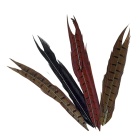 JMC Natural Fasanenschwanz