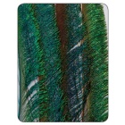 JMC Peacock Schwert Orange gefärbt