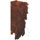 Hühnerhals JMC Roux