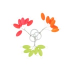 Strick Lock Skaw Rosa