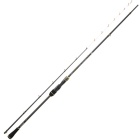 Angelrute Daiwa Team Daiwa Tenya