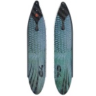 2 Flossenblatt C4 Betta L-1090 - 25