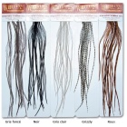 Federn Leon Whiting Microbarb 100'S Hellgrau