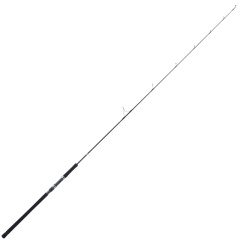 Angelrute Jigging Daiwa Catalina