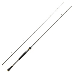 Spinnrute Daiwa Exceler