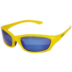 Sonnenbrille Black CAT Buster Sonnenbrille