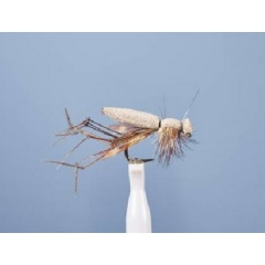 Erdfliege JMC Cousin 11 BL H10