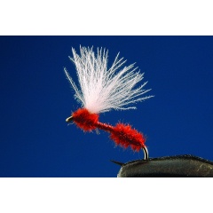 Satz mit 2 roten Ameisenfliegen