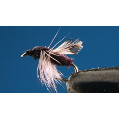 Satz von 2 Black Fly Landfliegen