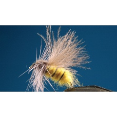 Satz mit 2 Wespenlandfliegen