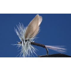 Satz mit 2 blauen Federkiel-Ephemera-Fliegen