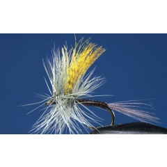 Satz von 2 Gordon Quill Ephemera Fliegen