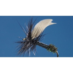 Satz mit 2 schwarzen Ameisen-Ephemera-Fliegen