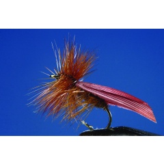 Satz mit 2 braunen Trikoptern