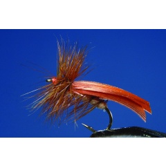 Satz mit 2 Zimt Tricoptera