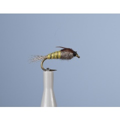 Fliegennymphe JMC Bm 14 H14