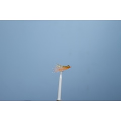 JMC Knochen 1 H6 Seefliege JMC Knochen 1 H6