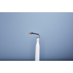 Chiro Fly JMC Buzz 11 BL H10