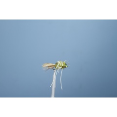 JMC Krabbenfliege Krabbe 31 H4